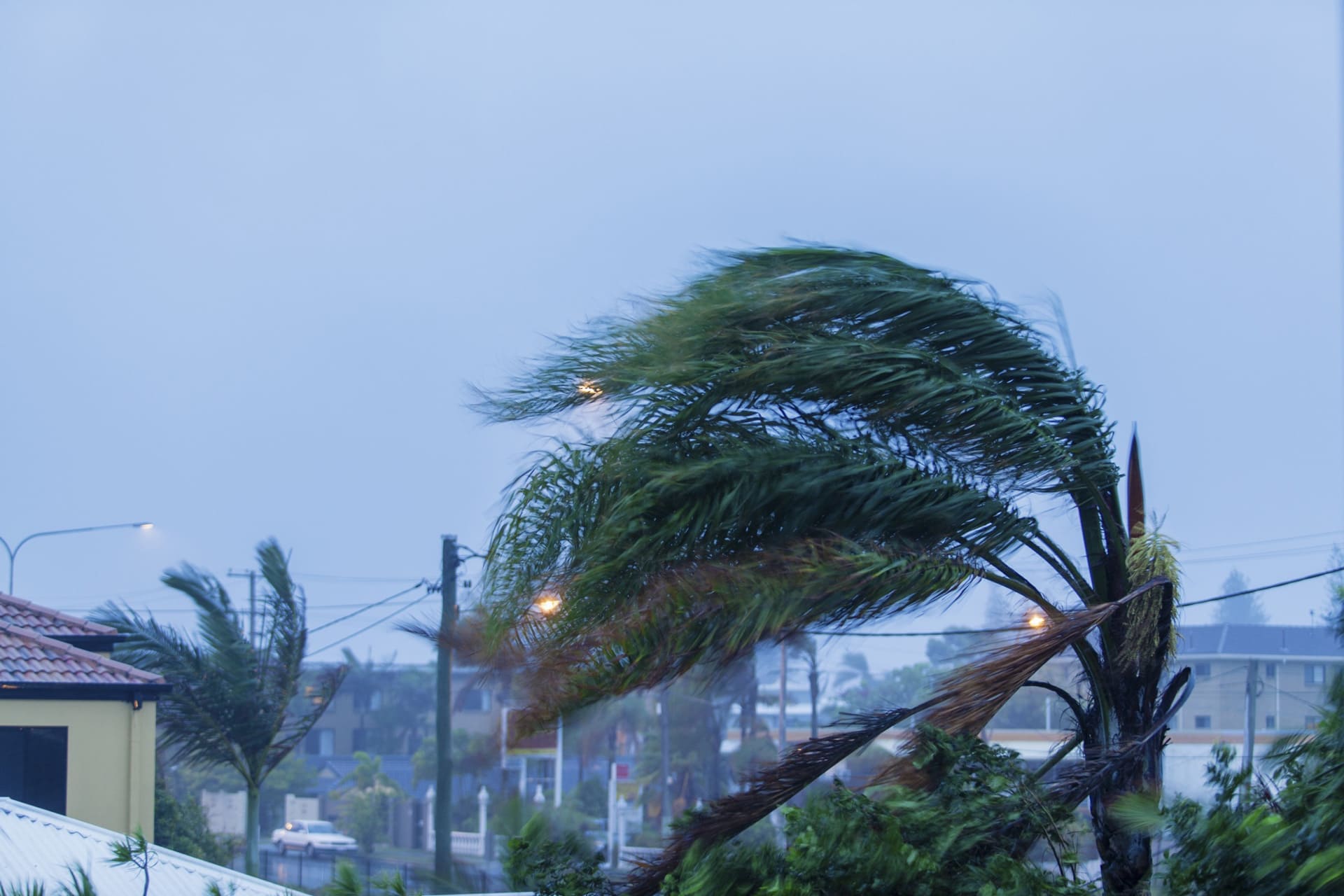 Storm Damage